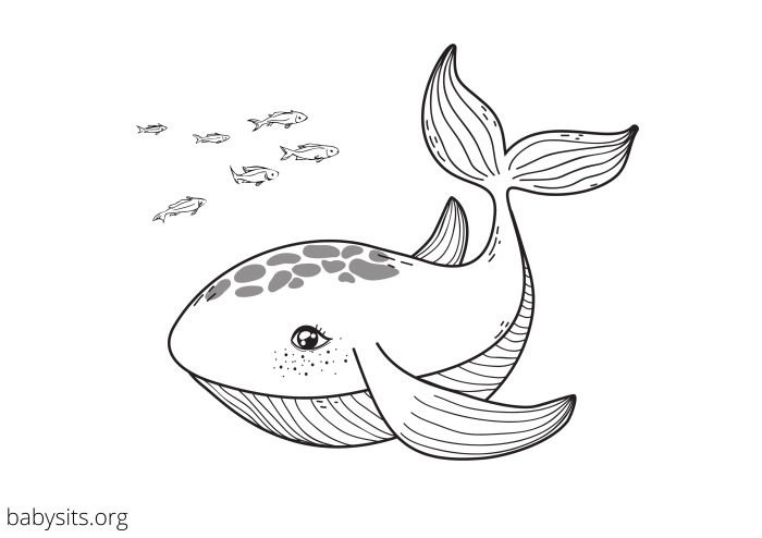 Coloring pics of sea animals