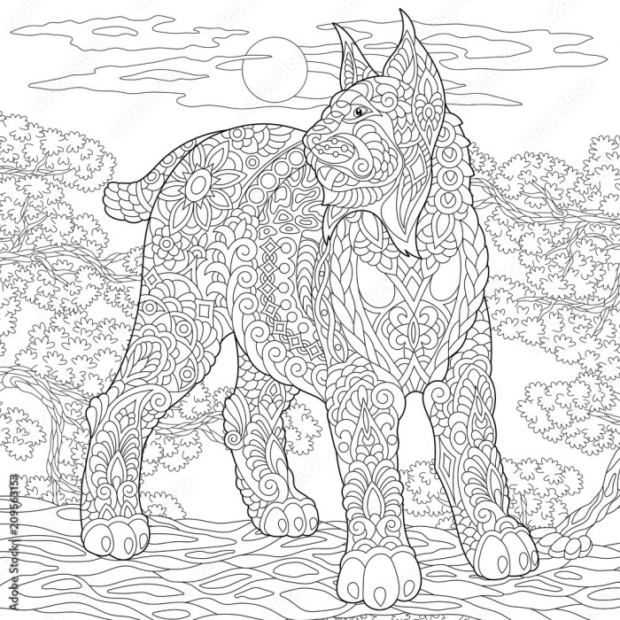 Animated wildcat coloring pages