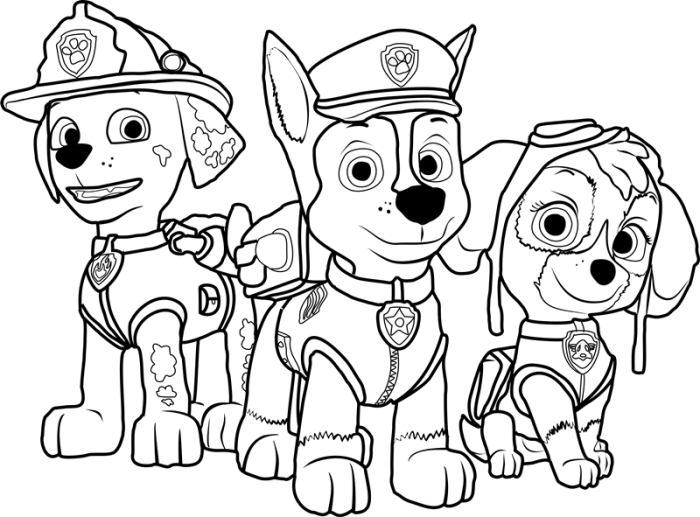 Paw patrol coloring book pages