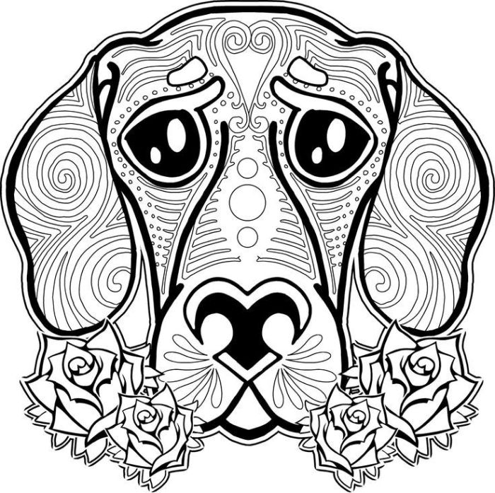 Cute hard animal coloring pages