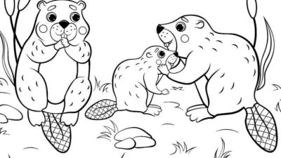 Free Animals Coloring Pages Fun for All Ages