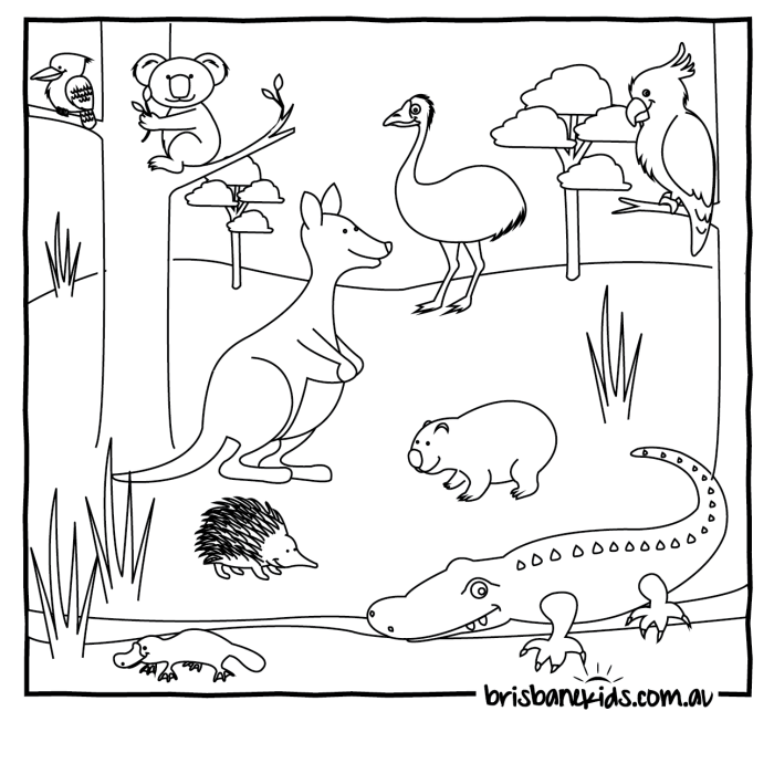 Australian animals coloring sheets