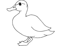 Free Online Animal Coloring Pages A Creative Journey