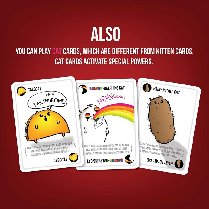 Exploding kittens coloring book