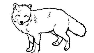 Anime fox coloring pages