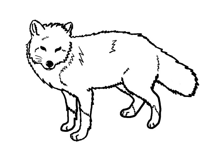 Anime fox coloring pages