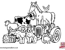 Cute Farm Animals Coloring Pages Fun for All!