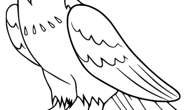 Anime Falcon Coloring Pages A Creative Guide