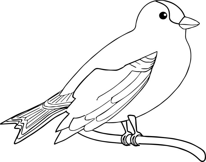 Bird coloring book page