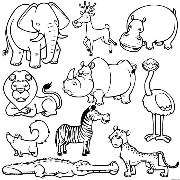 Animal coloring books for kids whith markers