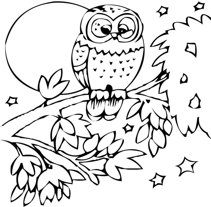 Free coloring writing pages animals