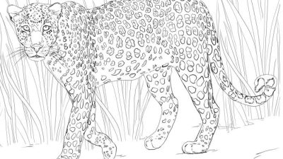 Downloadable Coloring Pages African Animals