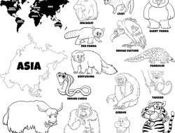 Coloring Sheets Asias Amazing Animals