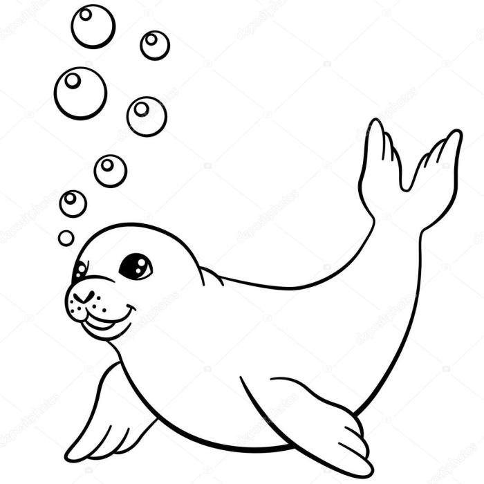 Coloring seal animal with parts