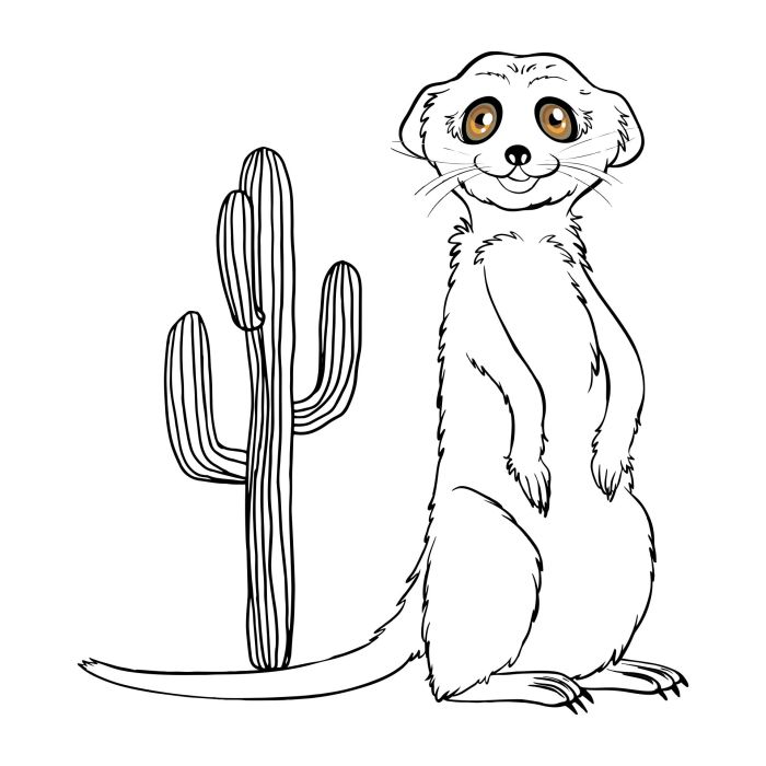 Desert animals coloring page free