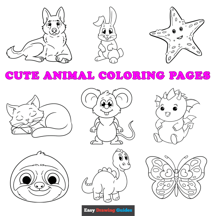 Animal coloring book images