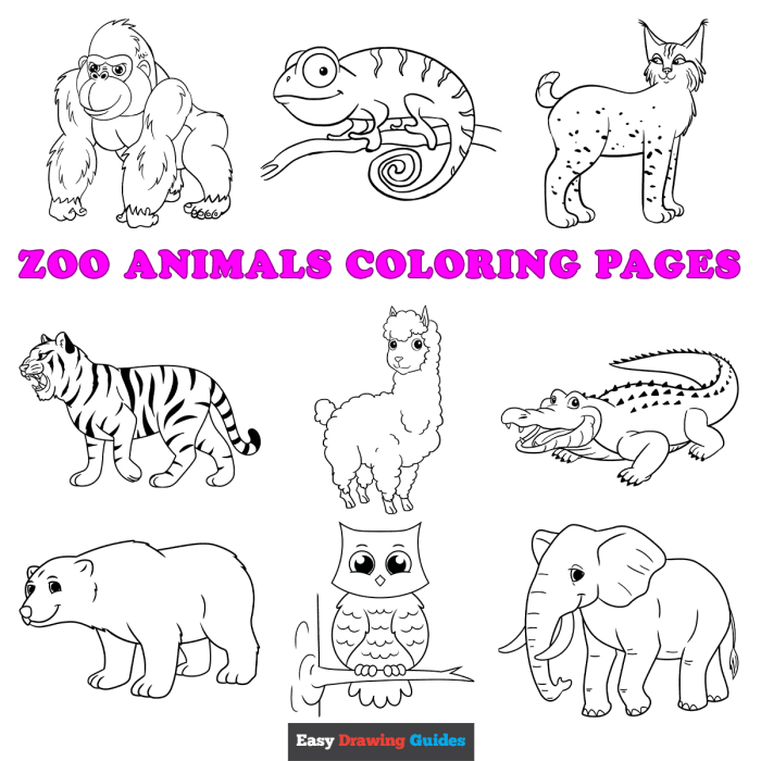 Animals zoo for coloring