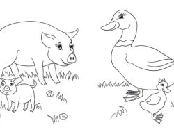 Animal Babies and Mothers Coloring Pages