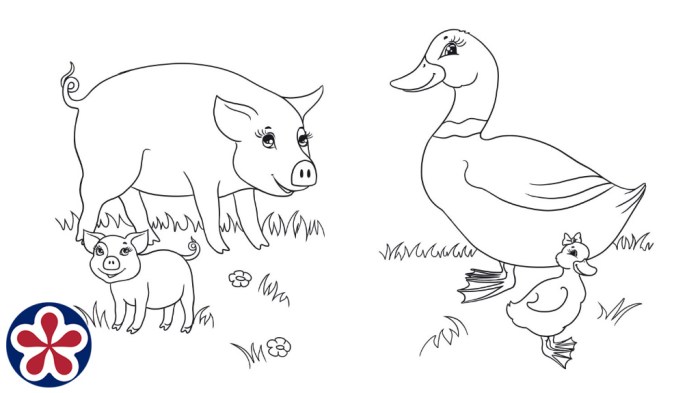 Animal babies and mothers coloring pages