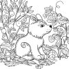 Free Coloring Writing Pages Animals