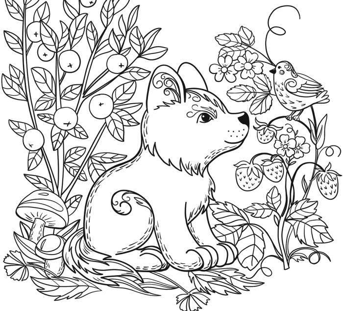 Free coloring writing pages animals