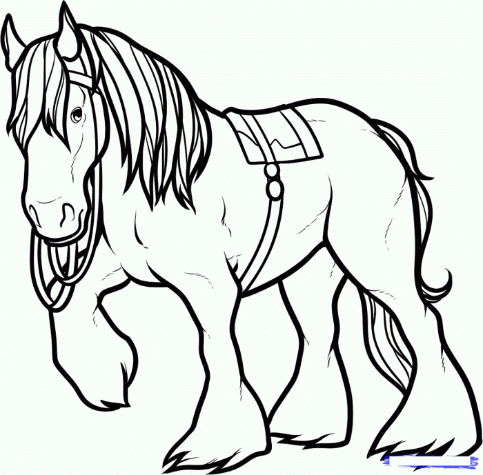 Coloring book animals for kids horse