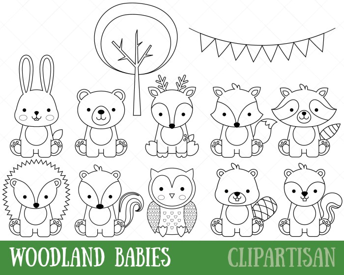 Woodland forest animals coloring pages