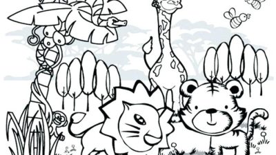 Animal coloring book images