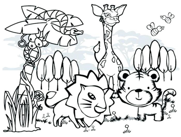 Animal coloring book images