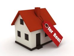 Houses for Rent A Comprehensive Guide